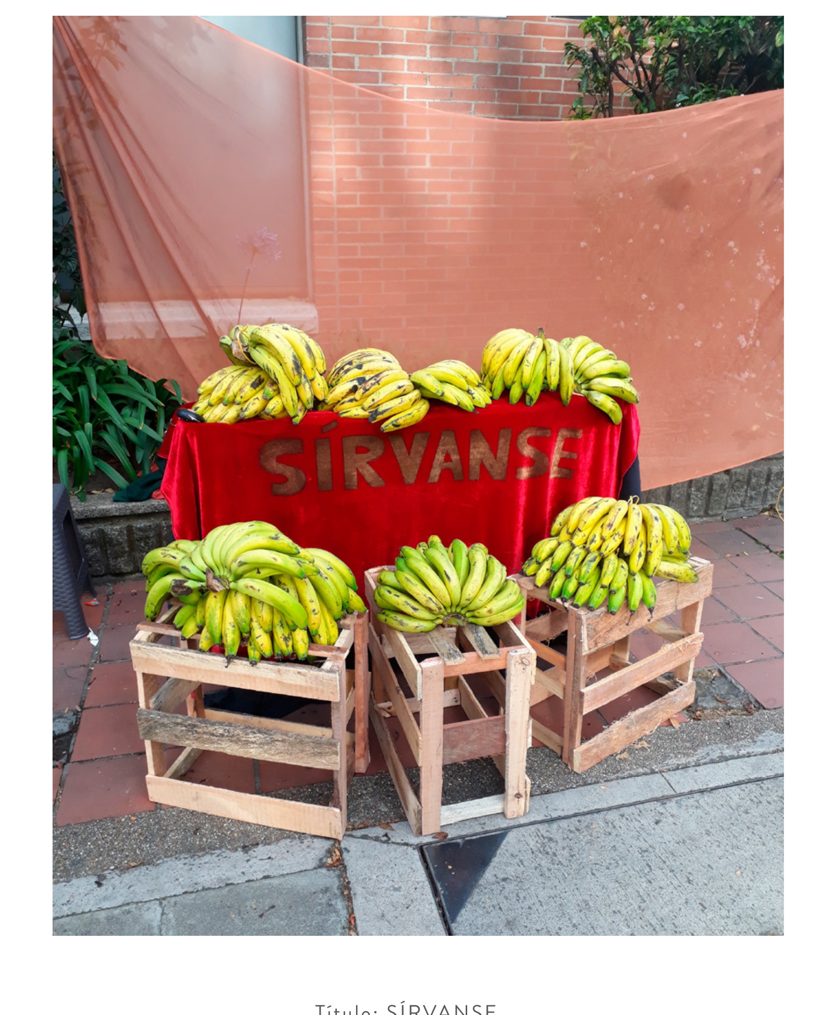 Sírvanse — Bananas